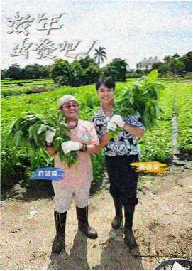 皮特影院综艺徒步三百里现场